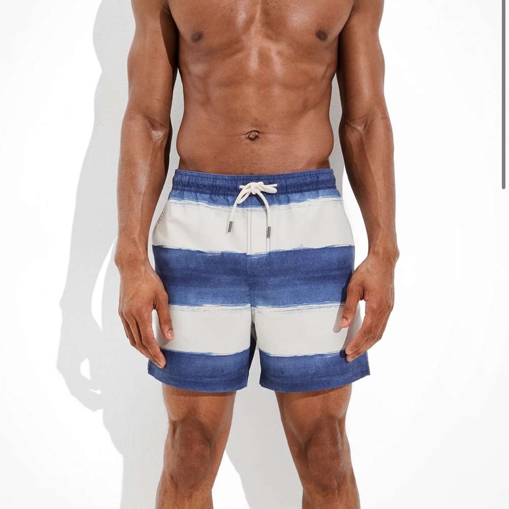 AE 5.5" Striped Swim Trunk